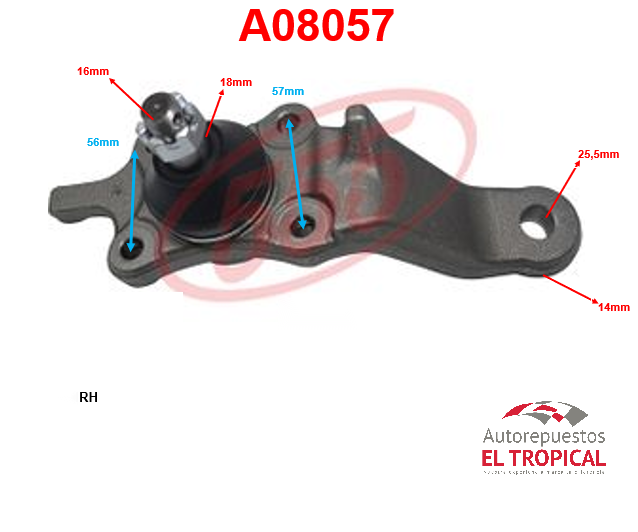 ROTULA INFERIOR RH. 4RUNNER 95-02 SB-3806R