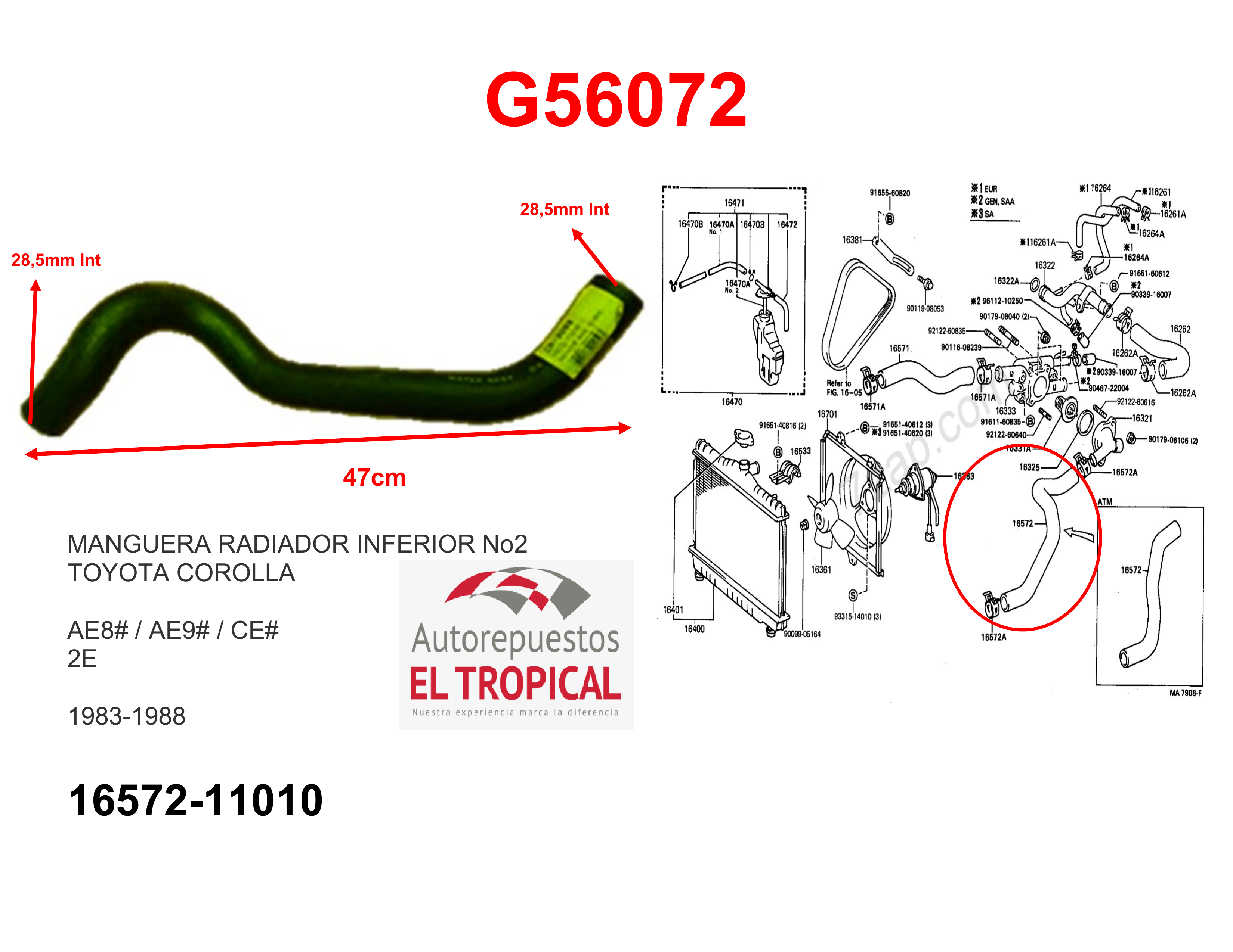 Manguera radiador inferior EE80,AE8#,CE80 83-88