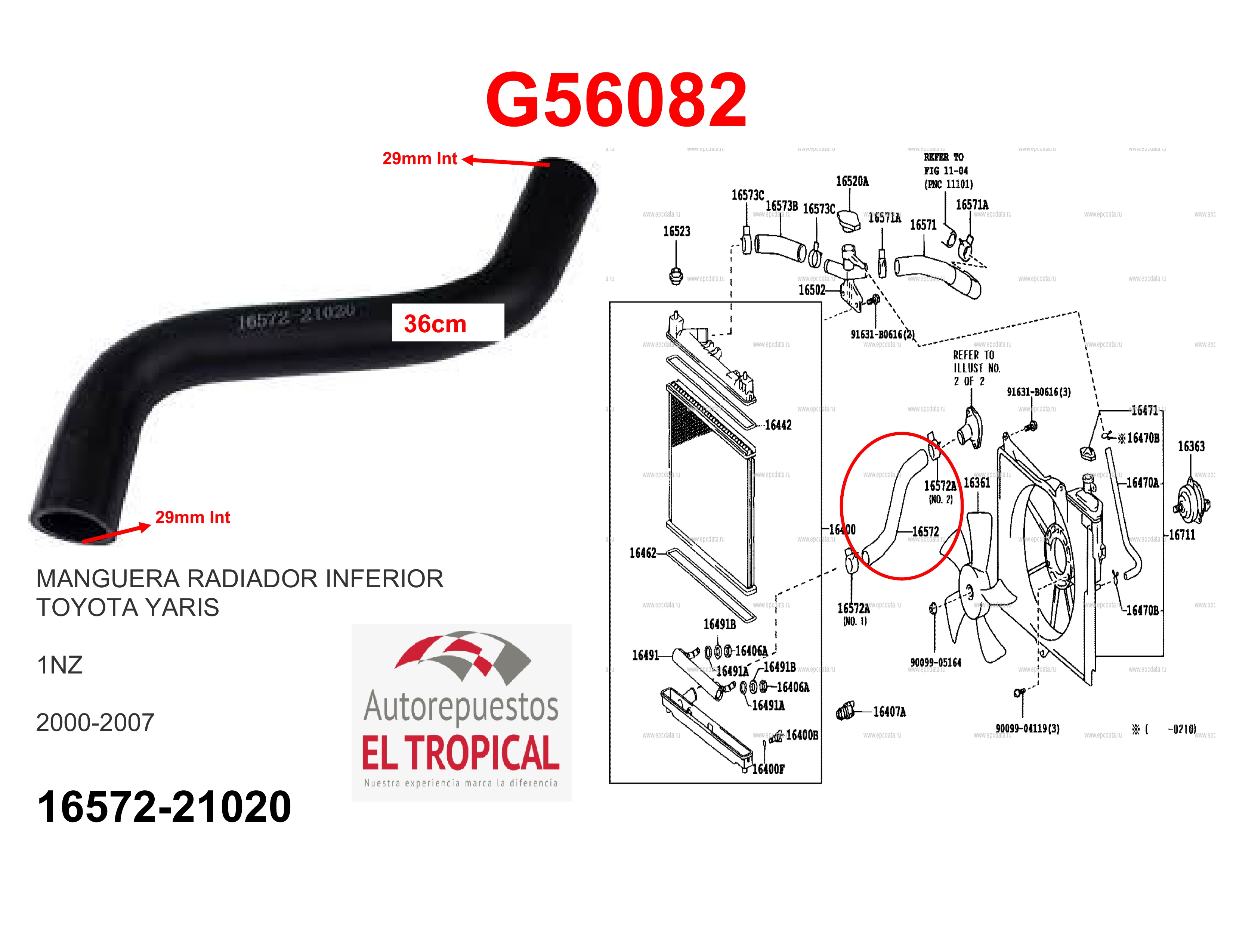 Manguera radiador inferior YARIS 1.5 00-