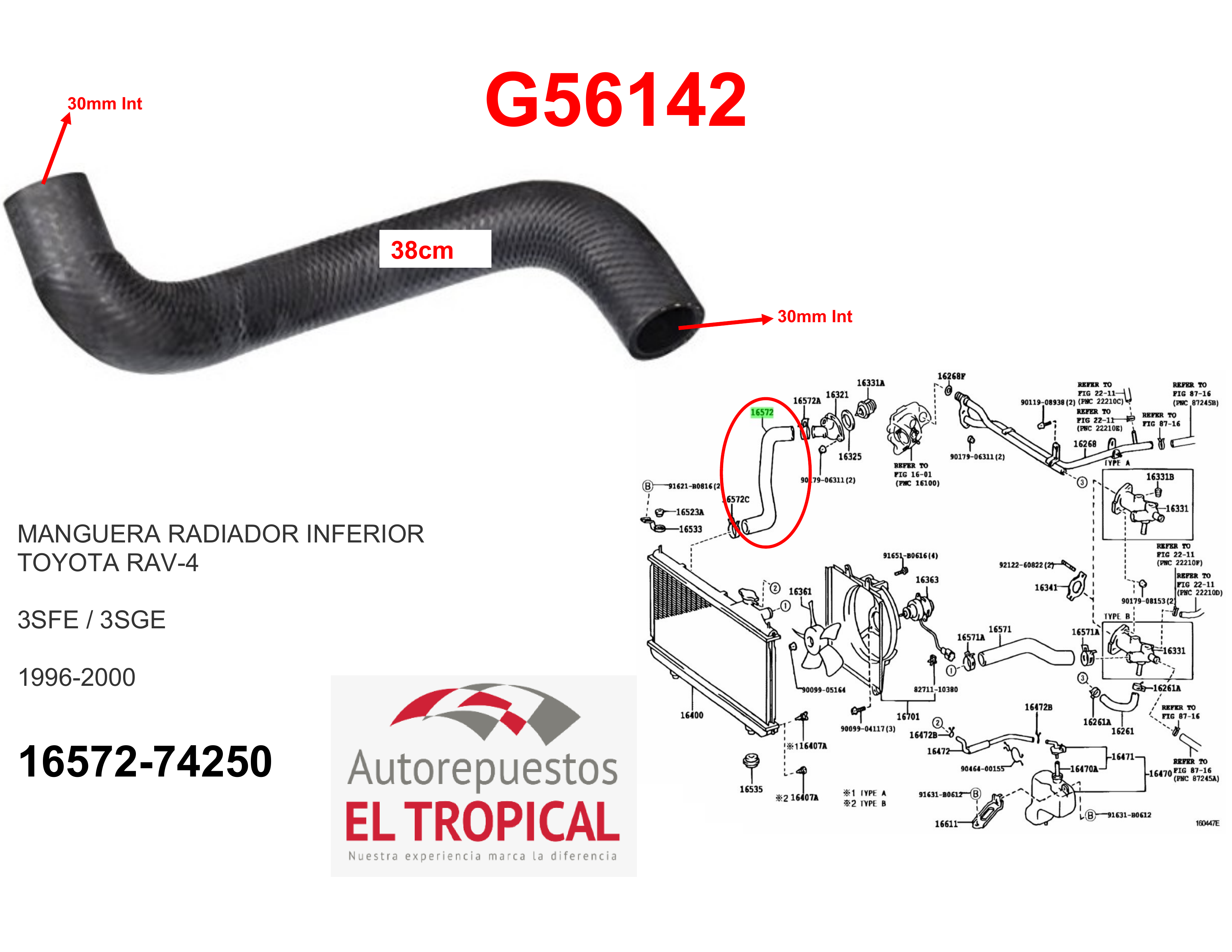 Manguera radiador inferior RAV4 96-99