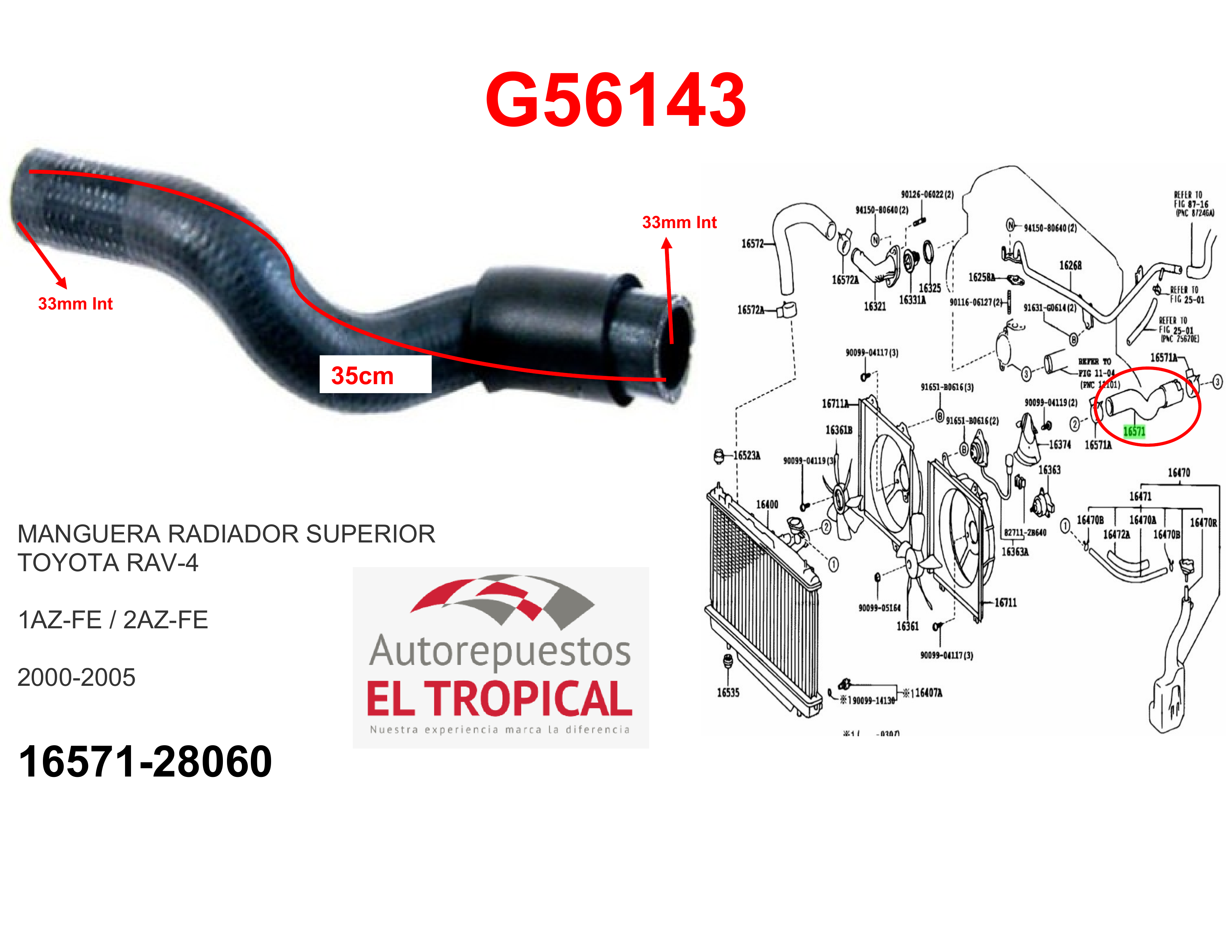 Manguera radiador superior RAV4 00-