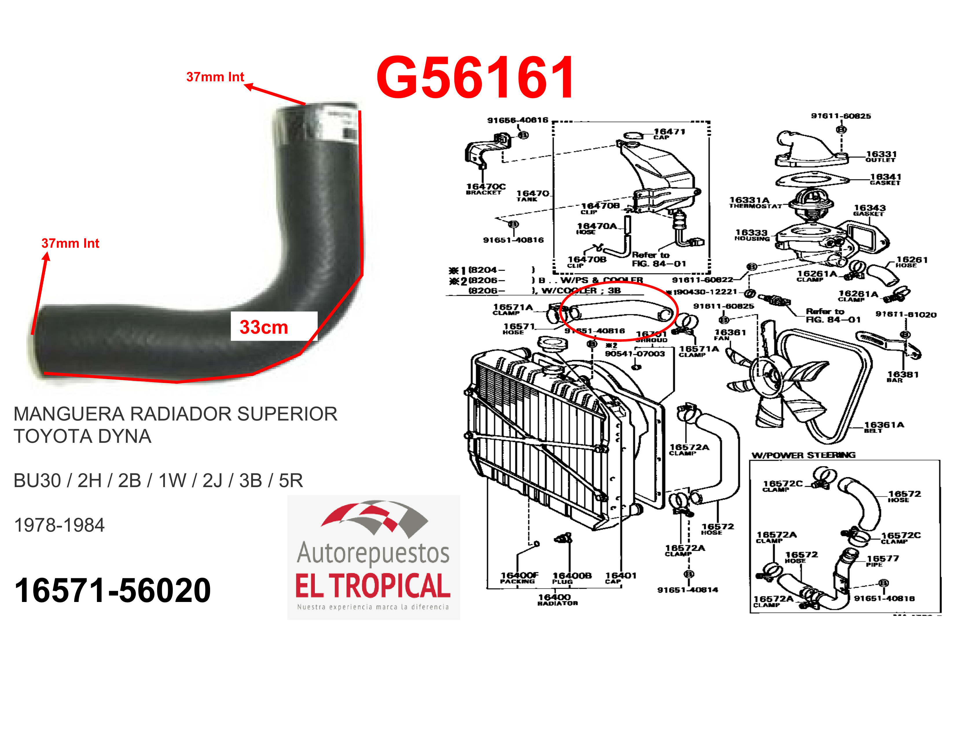 Manguera radiador superior DYNA BU30,V22 78-84