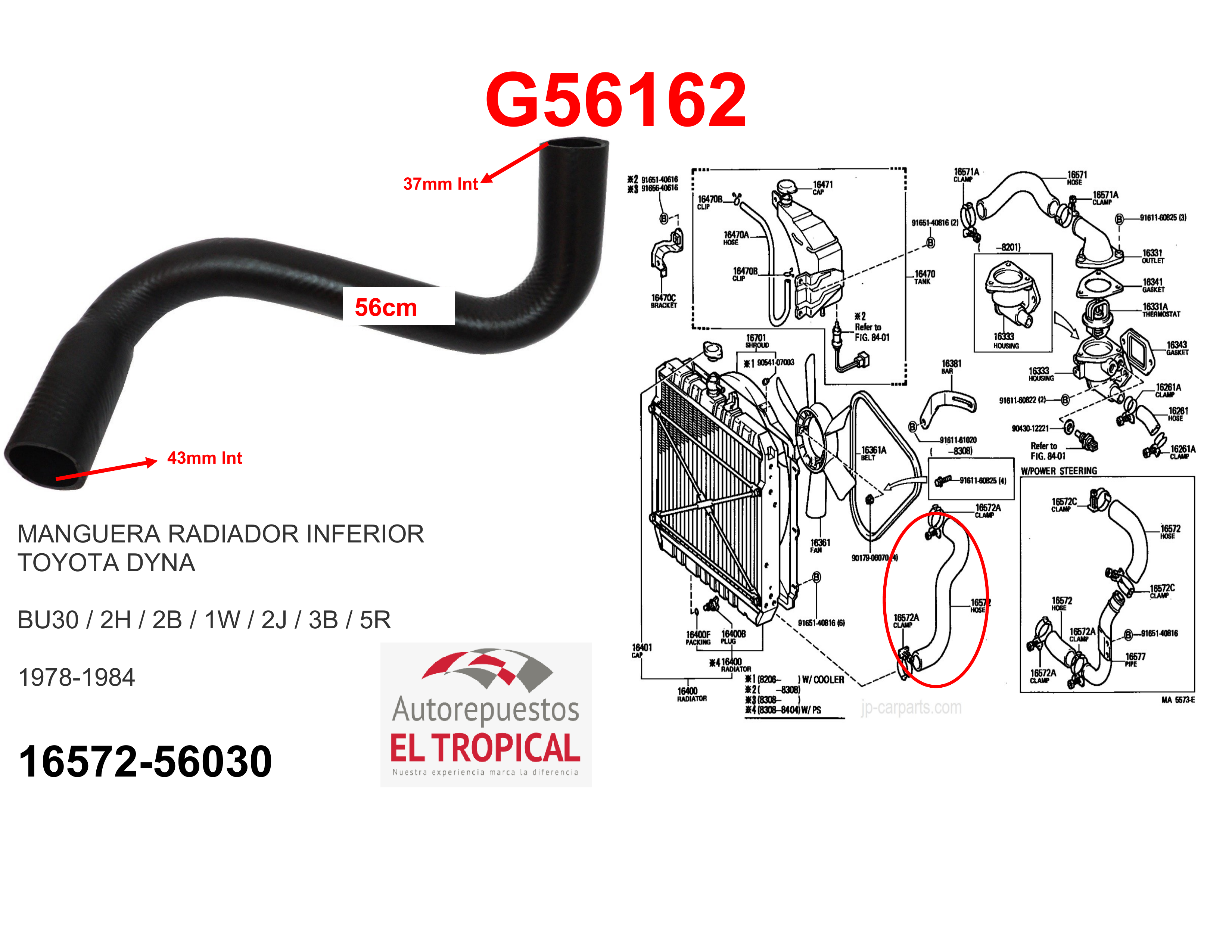 Manguera radiador inferior DYNA BU30,V22 78-84