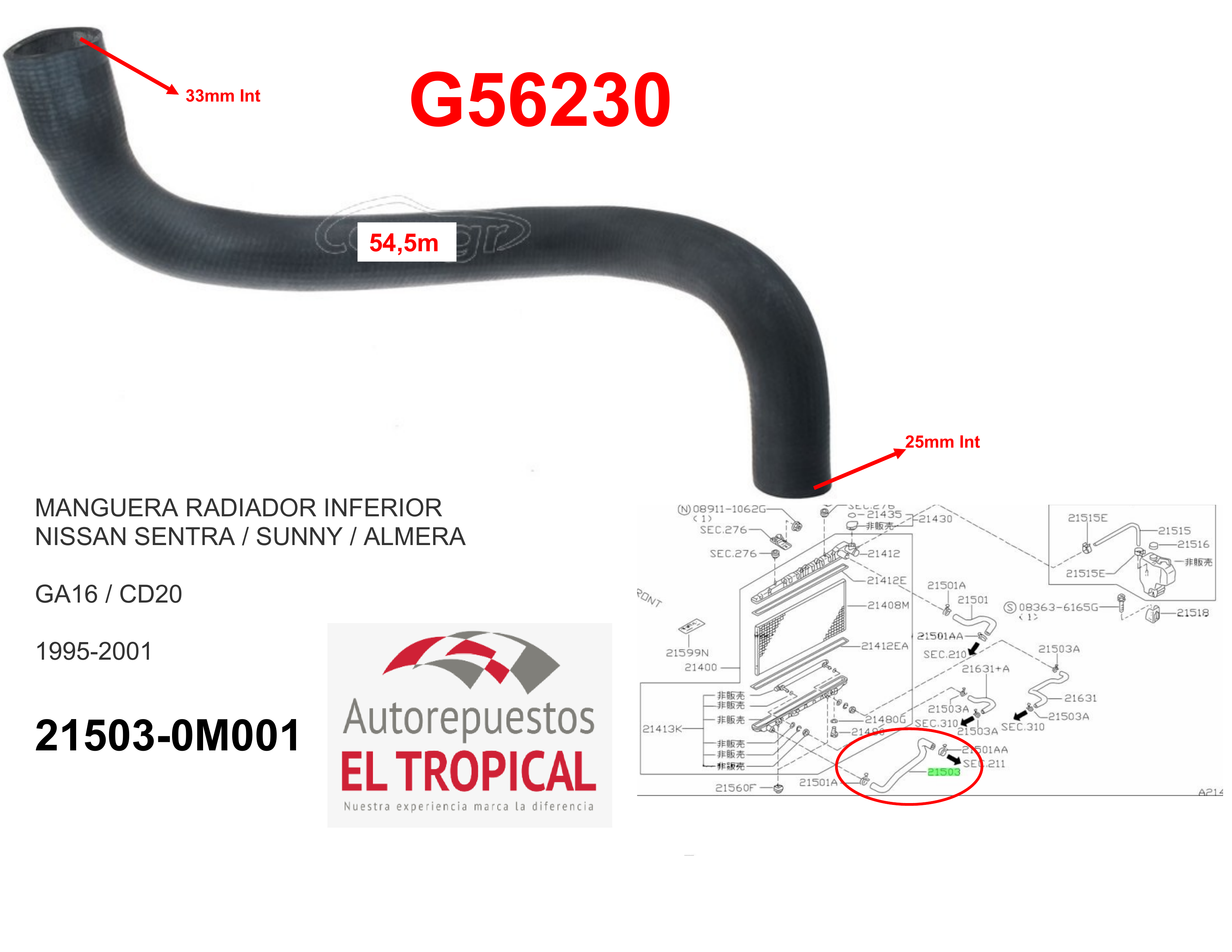 Manguera radiador inferior B12 86-89