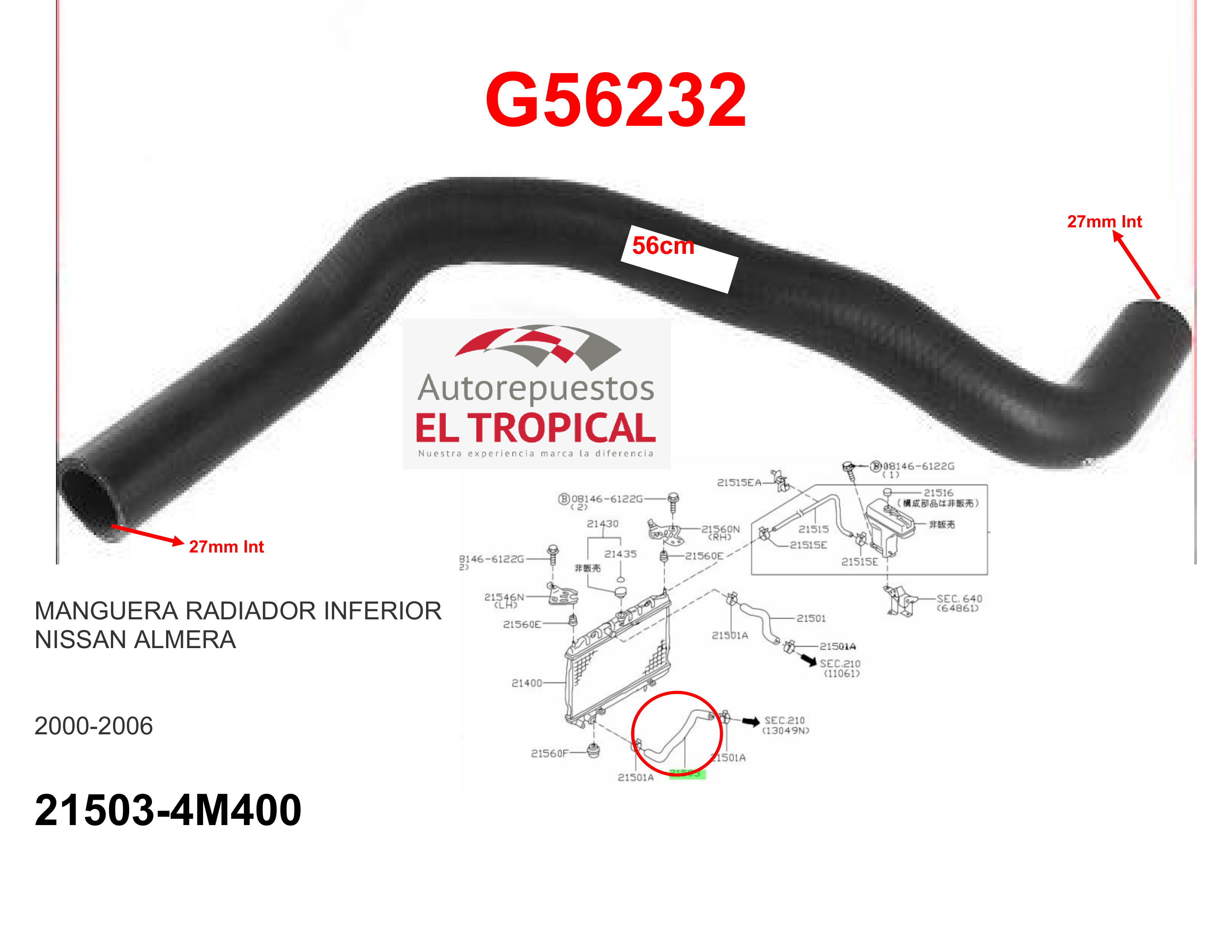 Manguera radiador inferior ALMERA 00-