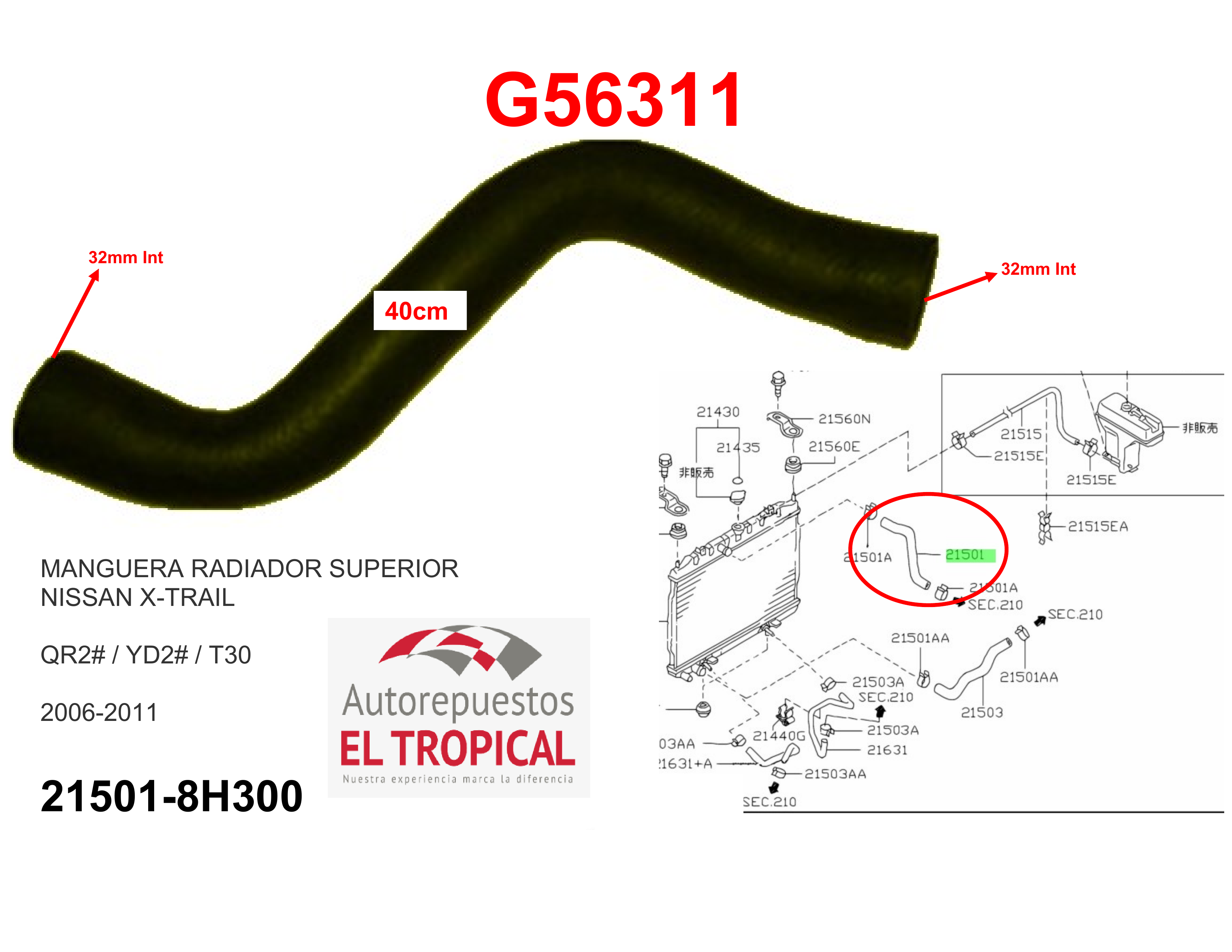 Manguera radiador superior X-TRAIL QR25DE 00-07
