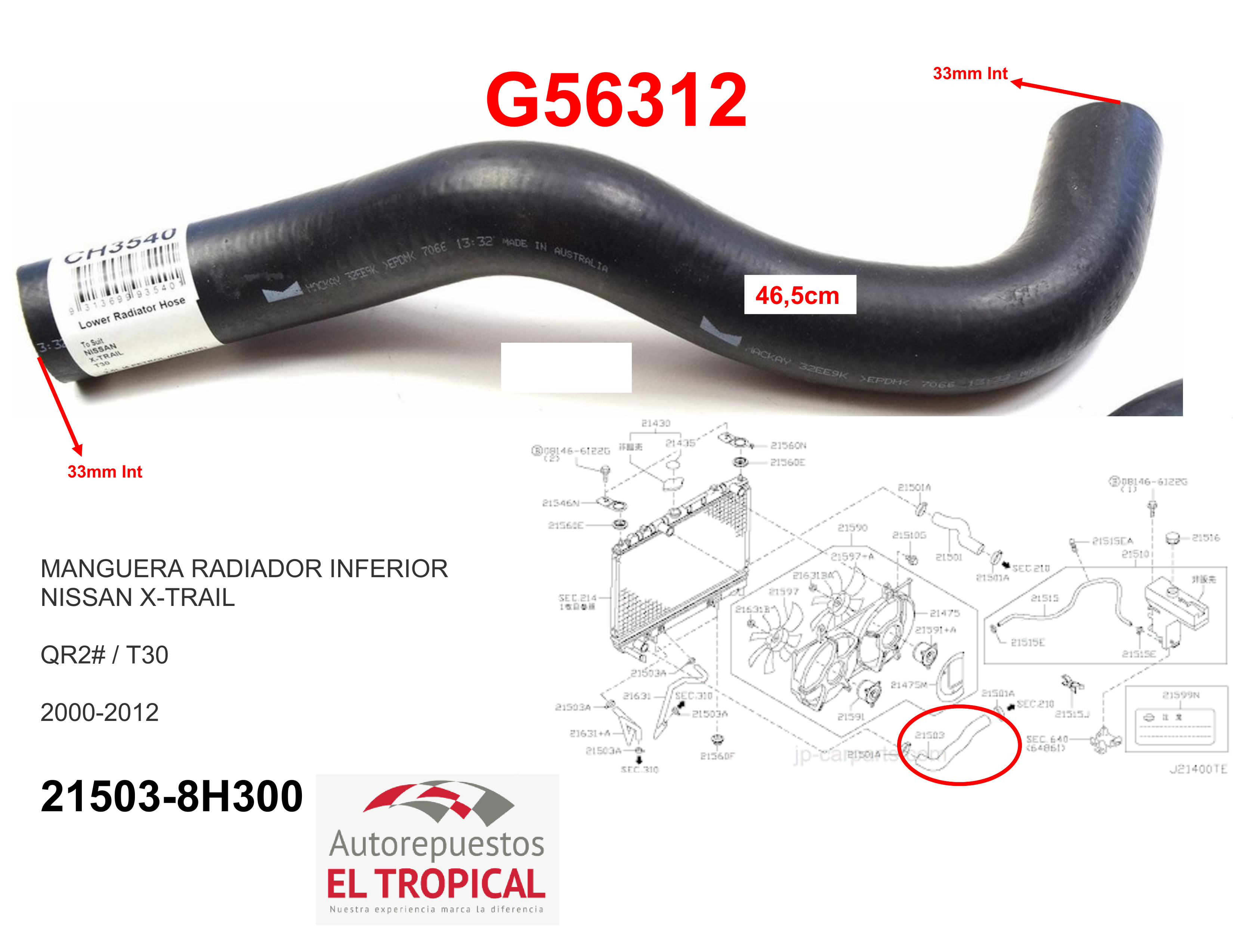 Manguera radiador inferior X-TRAIL QR25DE 00-07