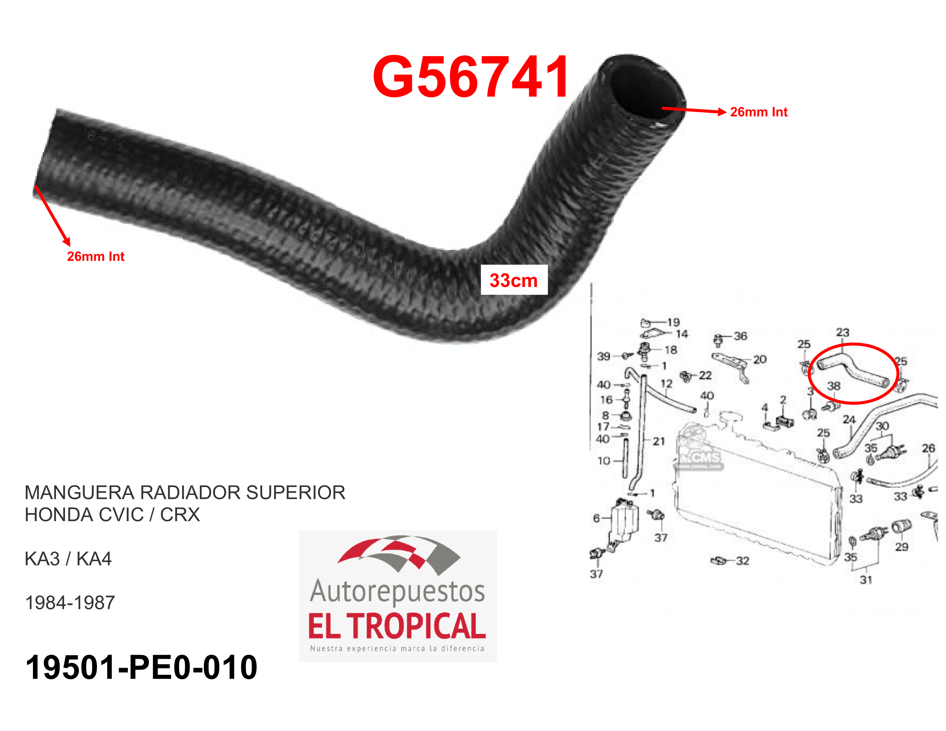 Manguera radiador superior CIVIC 84-