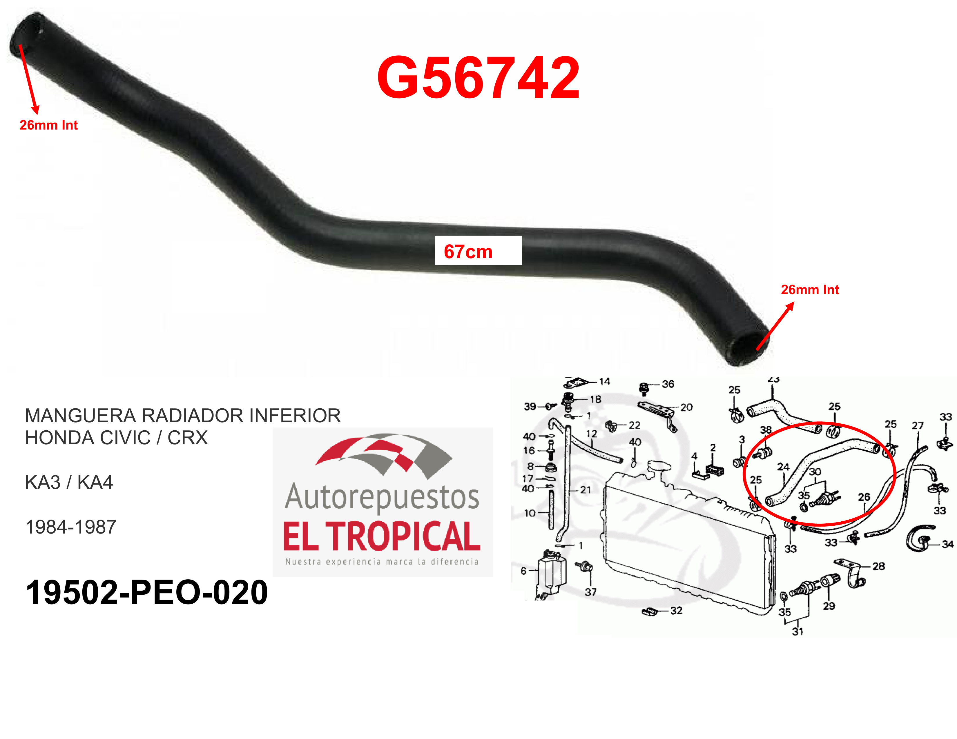 Manguera radiador inferior CIVIC 84-