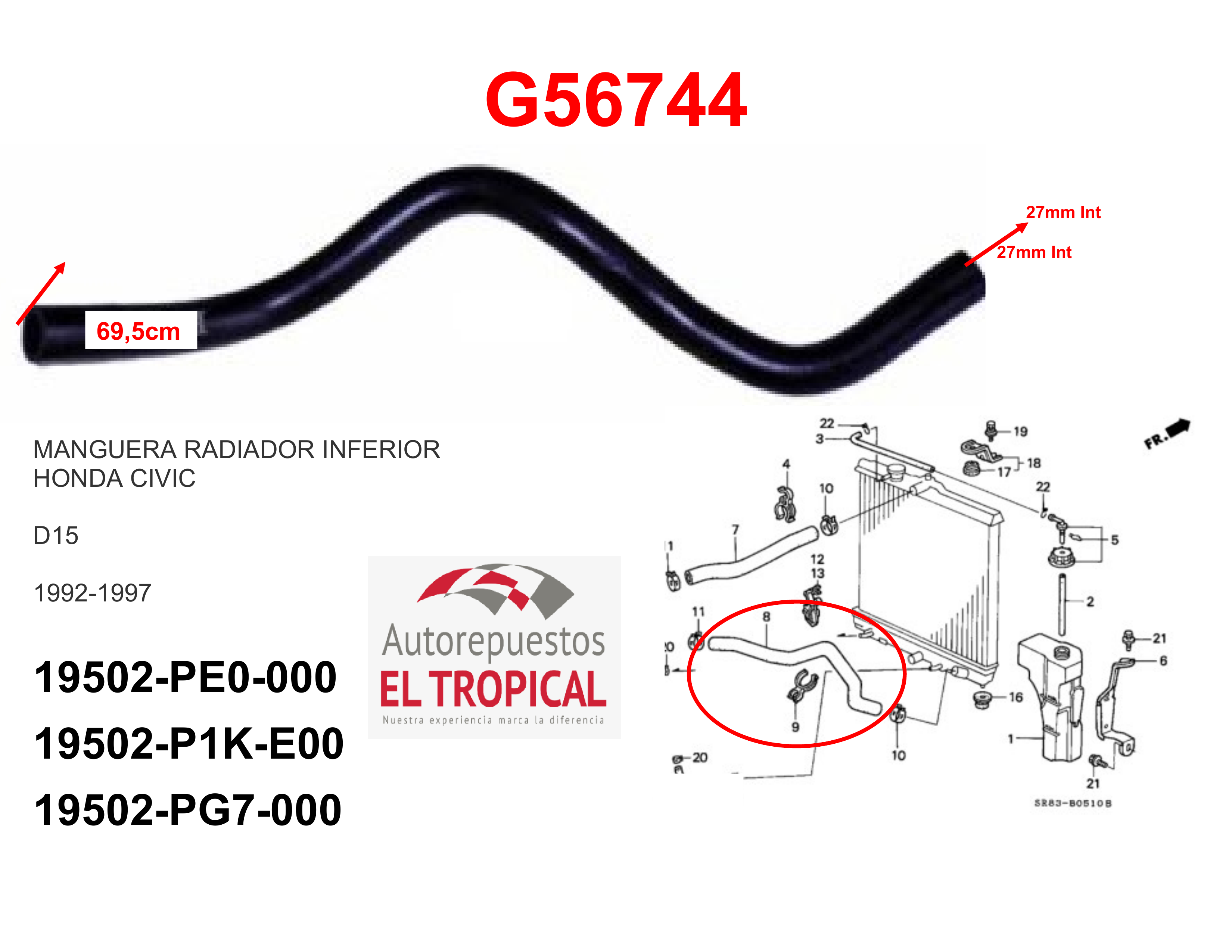 Manguera radiador inferior CIVIC 95-00