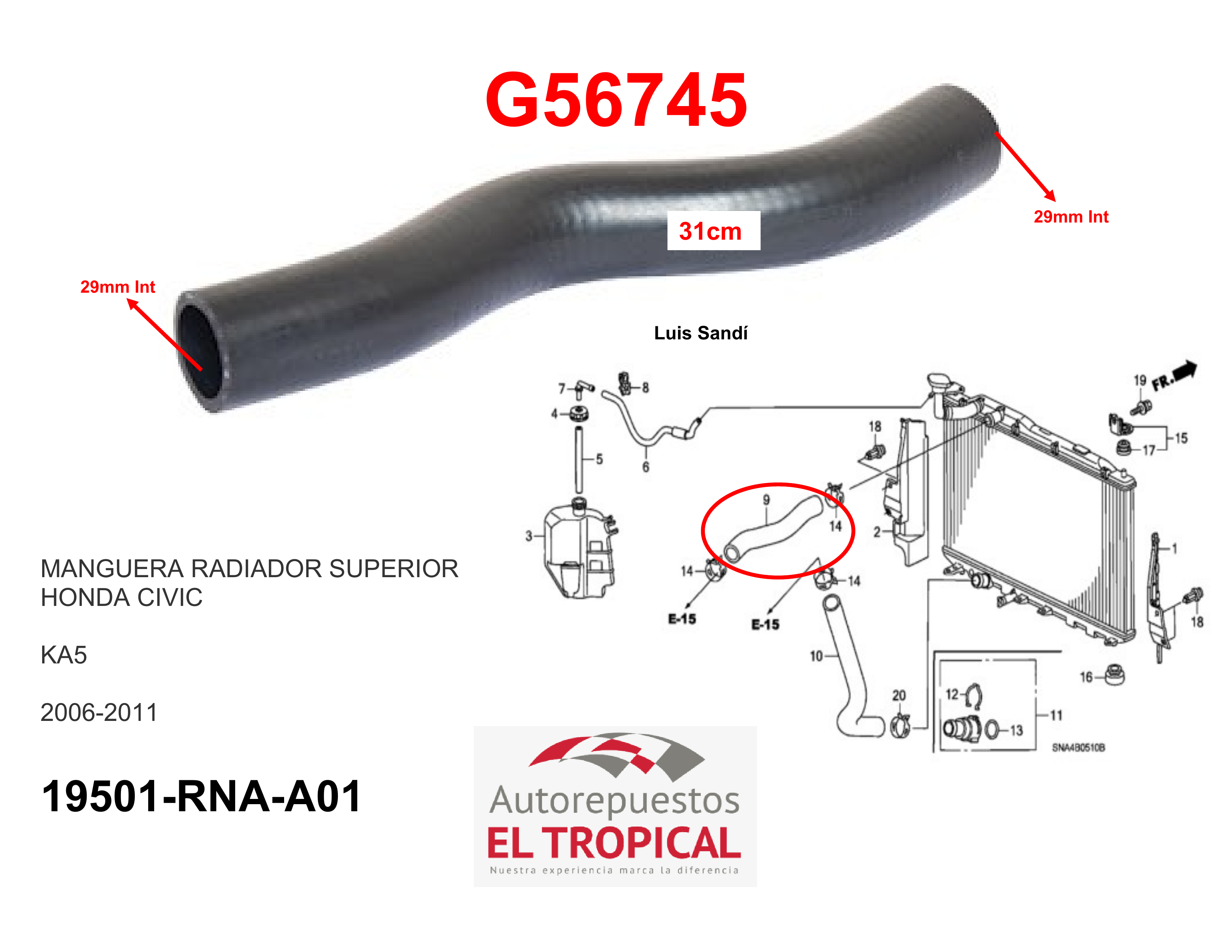 Manguera radiador superior CIVIC 06-