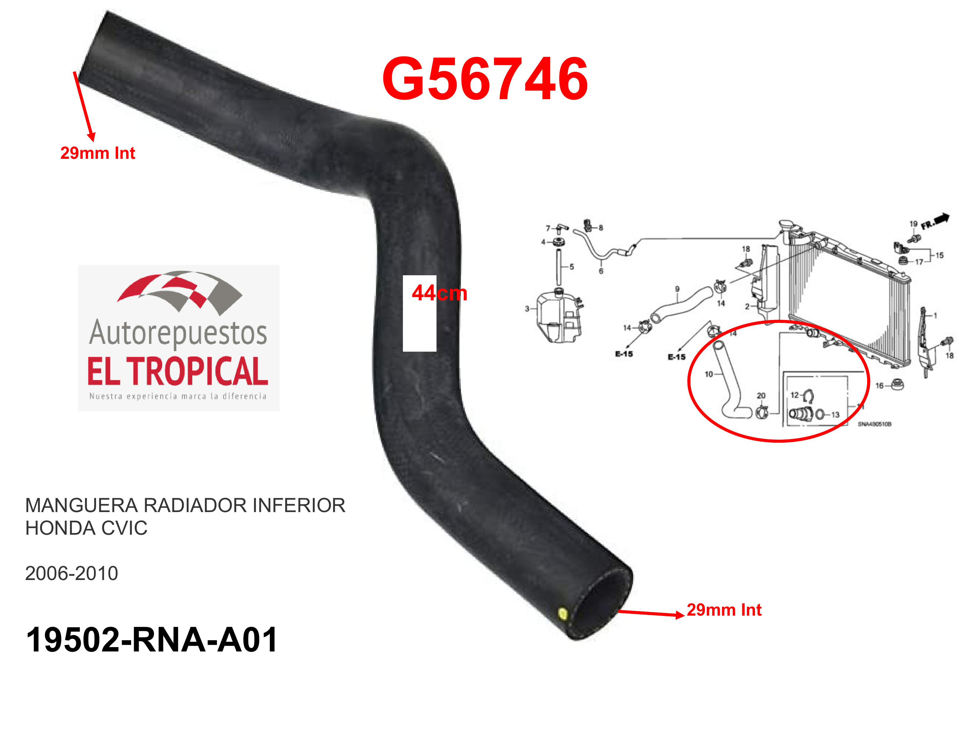 Manguera radiador inferior CIVIC 06-