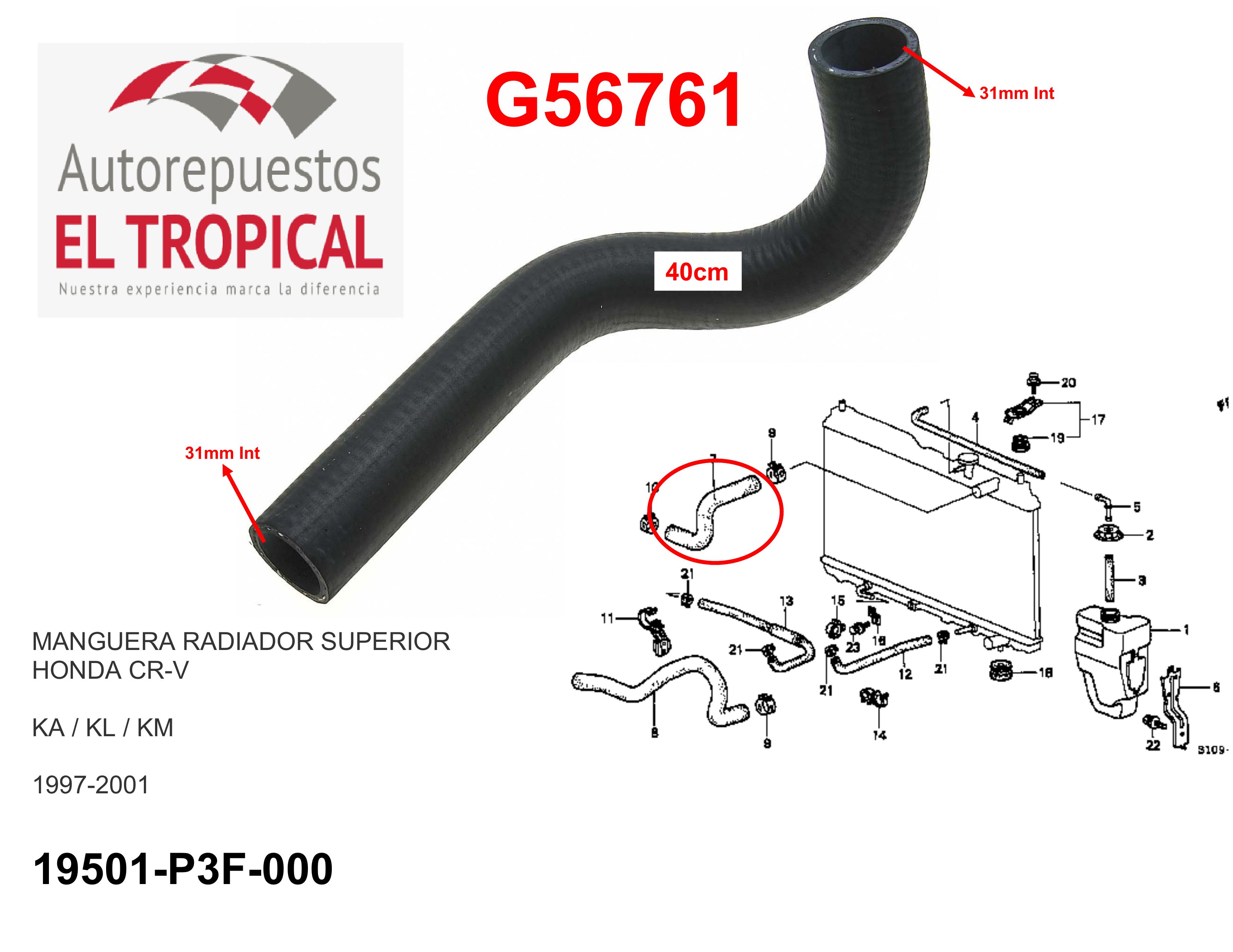 Manguera radiador superior CR-V 97-