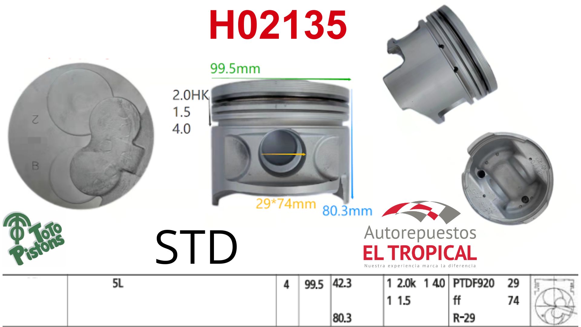 PISTONES STD 5L