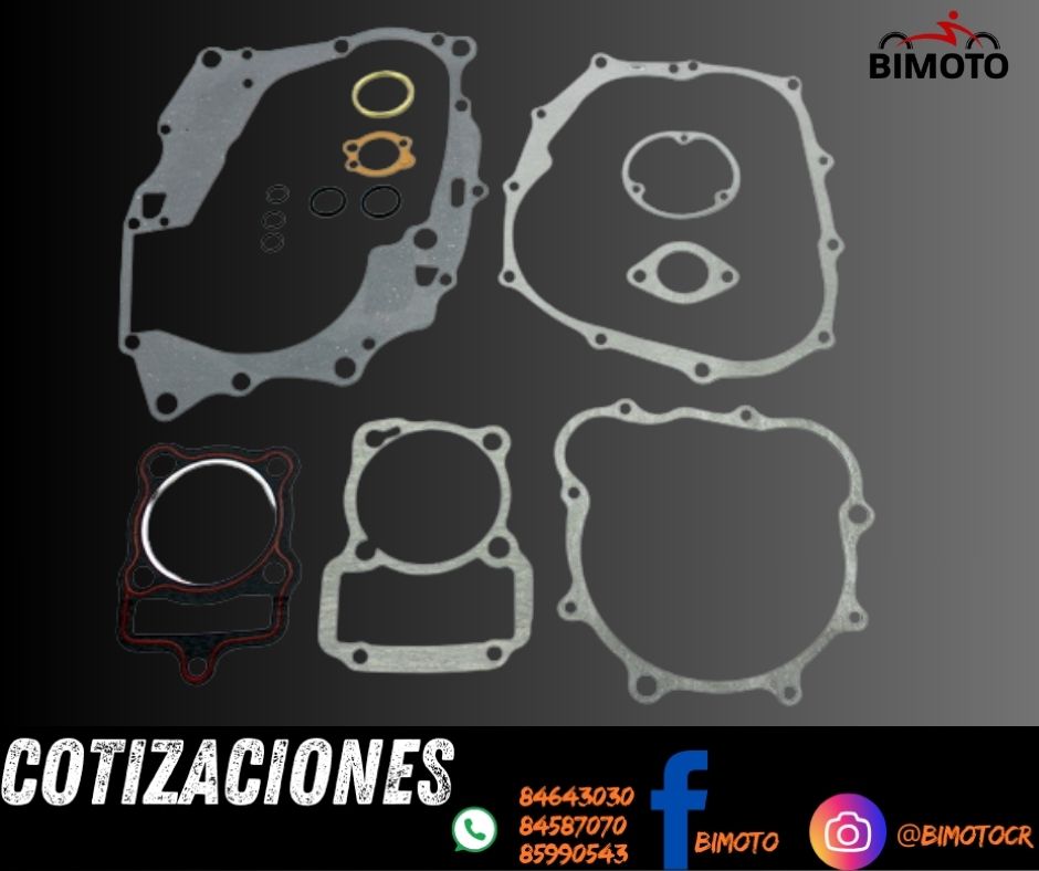 SET EMPAQUES COMPLETO ZS200 ORIGINAL