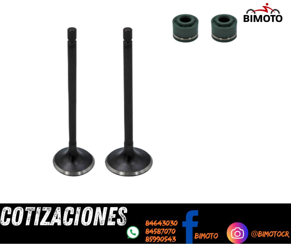 KIT VALVULAS ZS150 PAR VINI