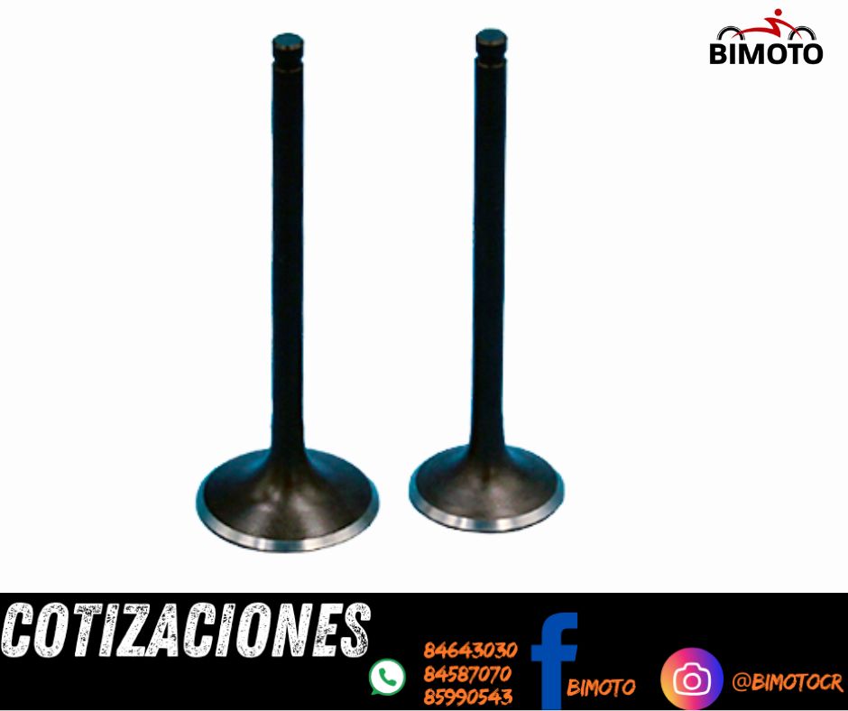 KIT VALVULAS GY200 CADENA (90-27-5 A) (91-31-5 A)
